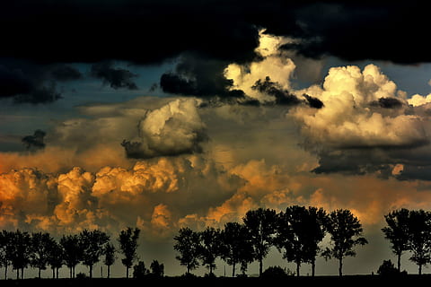 siluetti puita, taivas, puu, luonto, sininen, maisema, Eurooppa, auringonlasku, maaseudun, ulko-, väri-, sää, cloudscape, valo, taivas pilvet, ulkovalaistus, pilvi - taivas, kauneus luonnossa, kasvi, maisemat - luonto, tyyneys, rauhallinen kohtaus, siluetti, ei ihmisiä, matala kulma, ympäristö, ulkona, idyllinen, dramaattinen taivas, maa, ei-kaupunkikuvia, pahaenteinen, meteorologia, 5K, CC0, public domain, rojaltivapaa