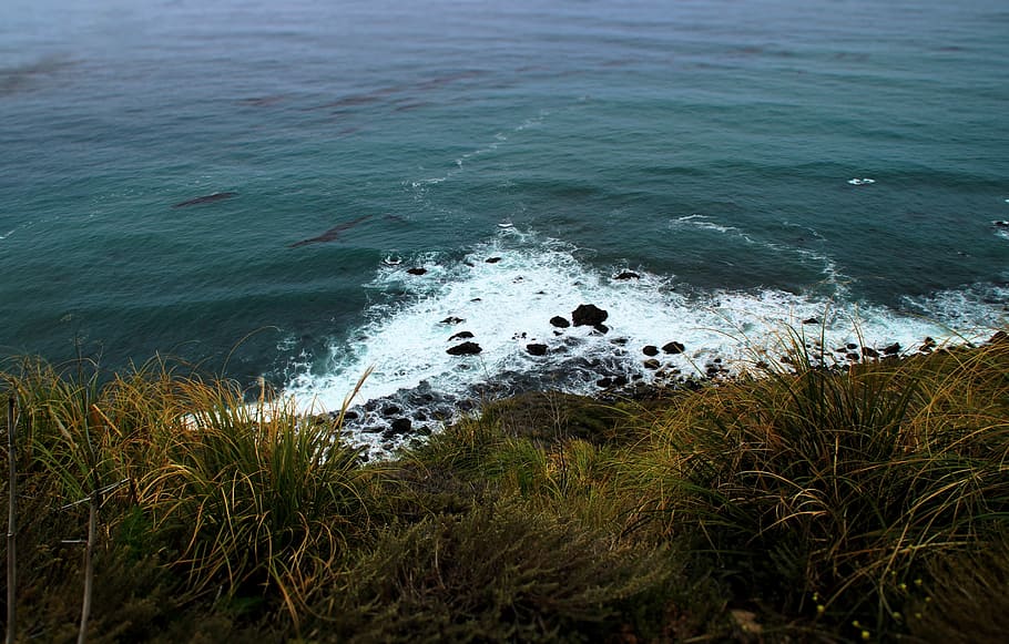 onades del mar, herba, durant el dia, verd, herbes, vora del mar, oceà, rock, platja, mar, Costa, aigua, navega, línia de costa, Riba, big sur, californium, salvatge, naturalesa, Vista de l'oceà, Costa oest, moviment, rock - object, cap gent, bellesa a la natura, onada, sòlid, vista d’angle alt, dia, terra, escenics - natura, a l'aire lliure, tranquil·litat, esport, trencament, poder a la natura, aigua que flueix, 2K