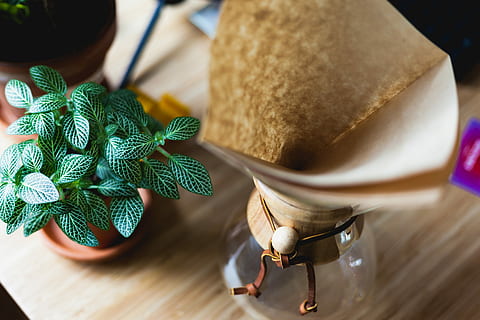 pateu, plantă, vază de sticlă, verde, plante de frunze, lângă, frunze, filtru, cafea, rece bew, Culoarea verde, mancare si bautura, alimente, în interior, a închide, masa, mâncat sănătos, natură, prospeţime, lemn - material, să se concentreze asupra primelor elemente, creştere, nici o persoana, iarbă, selectiv, bunăstare, menta frunze - culinare, ghiveci, 5K, CC0, domeniu public, fără drepturi de autor