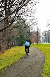 pathway, vinter, landskab, sti, spore, cykel, cyklus, aktivitet, udendørs, sport, ride, rekreation, fritid, vej, dyrke motion, cyklist, cykling, transportmidler, pedal, talte, dæk, hjul, natur, mennesker, træ, plante, land køretøj, transportform, rigtige mennesker, ridning, bare træ, dag, retning, fritidsaktivitet, vejen frem, græs, bagfra, livsstil, faldende perspektiv, 5K, CC0, offentligt domæne, royaltyfrie