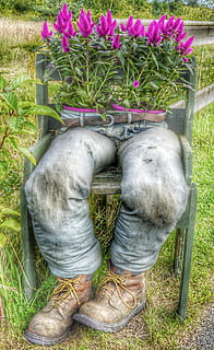 flor, maconha, jeans, plantar, seção baixa, sapato, uma pessoa, perna humana, dia, visão de alto ângulo, crescimento, grama, natureza, pessoas reais, parte do corpo, parte do corpo humano, cor verde, campo, ao ar livre, planta com flores, estilos de vida, bota, Bota de borracha, jardinagem, 4K, CC0, domínio público, royalty free