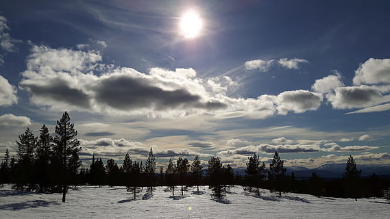 snowfield, copaci, clar, albastru, cer, zi, nori, peisaj, natură, umbre, siluete, zăpadă, soare, iarnă, copac, nor - cer, temperatura rece, plantă, mediu inconjurator, frumusețe în natură, scenice - natura, o scenă liniștită, liniște, lumina soarelui, pădure, scenă non-urbană, culoare alba, nici o persoana, Brad, conifer, în aer liber, lentila flacara, 4K, CC0, domeniu public, fără drepturi de autor