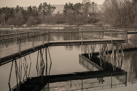 aigua, web, llac, naturalesa, embarcador, corrent d’aigua, entrada, passeig marítim, moll, romàntic, creuar, arbre, planta, reflexió, tranquil·litat, escena tranquil·la, cap gent, estructura construïda, bellesa a la natura, connexió, arquitectura, barana, escenics - natura, dia, cel, pont, escena no urbana, pont - estructura feta per l'home, a l'aire lliure, post de fusta, 4K, CC0, domini públic, lliure de regalies
