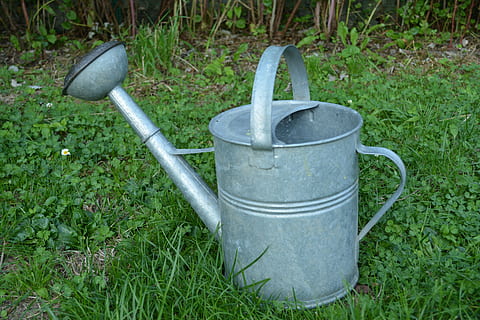 gieter, tuin, groente, moestuin, tuin-, gras, groene kleur, voor- of achtertuin, geen mensen, buitenshuis, fabriek, natuur, kan, groei, uitrusting, dag, tuingereedschap, land-, veld-, tuinieren, metaal, giet uitloop, werktuig, staal, 5K, CC0, publiek domein, royaltyvrij