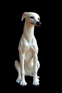 Windhund, Figur, Stein, Zahl, Steinfigur, schwarzer Hintergrund, Tier, Studioaufnahme, ein Tier, Figur, keine Leute, Tierthemen, Darstellung, Kunst und Handwerk, drinnen, Tierdarstellung, Säugetier, Kreativität, Kunst, Haustiere, weiße Farbe, kopieren sie platz, Nahansicht, inländisch, Skulptur, 2K, CC0, gemeinfrei, lizenzfrei