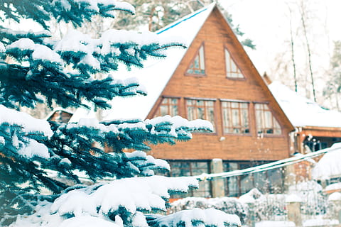 zelená, borovice, sníh, hnědý, dům selektivní zaměření fotografie, smrk, sněžení, závěj, sněhová vločka, vánoční strom, větev, bílý, strom, ve sněhu, zimní, holodo, mráz, pod sněhem, Příroda, zimní les, efi, Nový Rok, vesnice, dřevěný dům, modrý smrk, dacha, chalupa, studená teplota, architektura, stavba, exteriér budovy, zaměřit se na popředí, den, zamrzlý, budova, krása v přírodě, krytina, rostlina, bílá barva, nikdo, venku, klid, extrémní počasí, jehličnatého stromu, sněží, teplé oblečení, 5K, CC0, veřejná doména, bez autorských práv