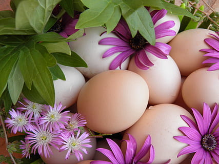 Easter Egg Hunt, Garland, egg, easter, holiday, celebration, spring, decorative, springtime, traditional, flower, basket, pink, purple, fragility, no people, food and drink, freshness, plant, vulnerability, flowering plant, close-up, nature, pink color, beauty in nature, growth, petal, flower head, food, inflorescence, leaf, plant part, 2K, CC0, public domain, royalty free
