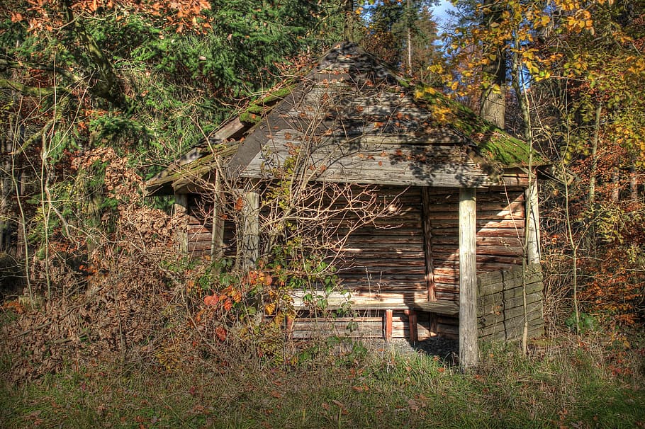 chata, les, propadl, Příroda, dřevo, srub, starý, lesní chata, dovolená, staré chaty, Seefeld, kolaps, rozchod, ponurý, ztracená místa, rozpad, spustit dolů, zchátralý, zlomený, pomíjivost, atmosféra, zvětralý, zvláštní, strašidelný, tajemný, mystický, zapomenout, architektura, rostlina, stavba, strom, opuštěný, přistát, exteriér budovy, den, zastaralý, nikdo, poškozen, dřevo - materiál, run-down, růst, budova, Dům, pokles, venku, zhoršení, zničil, změna, 5K