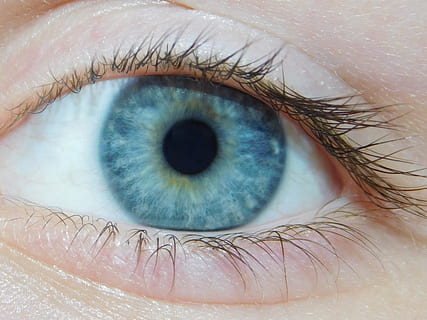 blau, ull, ulls blaus, cara, femella, dona, noia, jove, blanc, macro, mira, visió, retrat, iris, globus ocular, persona, salut, pestanya, vista, ull humà, percepció sensorial, una persona, part del cos humà, primer pla, part del cos, mirant la càmera, iris - ull, persones reals, adult, primer pla extrem, dones, persona irreconeixible, rostre humà, parpella, cella, 2K, CC0, domini públic, lliure de regalies