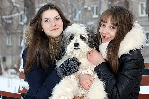 each, dog, animals, devotion, view, the dog's eyes, girls, togetherness, pets, domestic animals, domestic, canine, mammal, two people, embracing, portrait, love, friendship, looking at camera, emotion, happiness, winter, animal, positive emotion, hair, small, couple - relationship, hairstyle, teenager, 1080P, CC0, public domain, royalty free