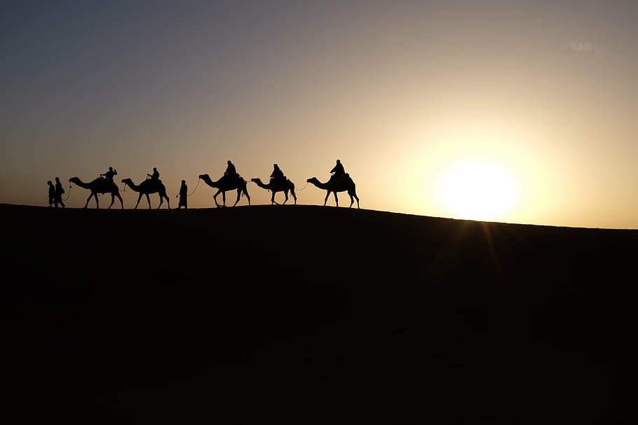 cinc, persona, muntar a cavall, silueta de camells, daurat, hores, camells, sortida del sol, viatjar, desert, sorra, sol, sec, a l'aire lliure, animal, aventura, llum solar, duna, groc, assolellat, silueta, camell, temes d'animals, posta de sol, còpia espai, animals domèstics, cel, grup d’animals, mamífer, naturalesa, grup de persones, fauna animal, bellesa a la natura, animal de treball, terra, caminar, 4K