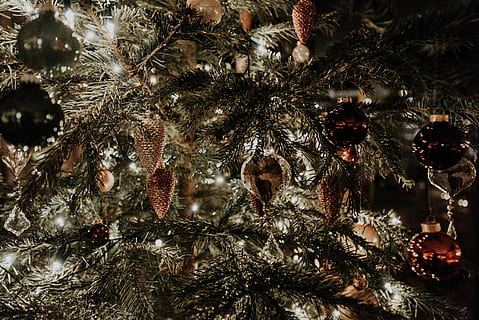 iluminado, verde, árvore de Natal, vermelho, enfeites, bugigangas de cores sortidas, enforcado, árvore, decoração, bugiganga, luzes de fadas, feriado, Natal, Decoração de Natal, celebração, Enfeite de natal, luzes de Natal, ninguém, quadro completo, fechar-se, suspensão, plantar, origens, dentro de casa, natureza, equipamento de iluminação, árvore de abeto, árvore conífera, 5K, CC0, domínio público, royalty free