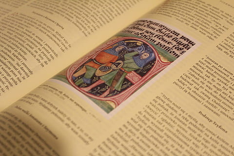 book, page, text, read, passage, text passage, book page, literature, old, paper, browse, pitched, hobby, antique, old book, antiquariat, scrolled, hardback, open, thick book, font, middle ages, scroll to, favorite book, close-up, no people, still life, publication, indoors, communication, high angle view, single object, human representation, finance, business, the past, full frame, western script, wealth, 5K, CC0, public domain, royalty free