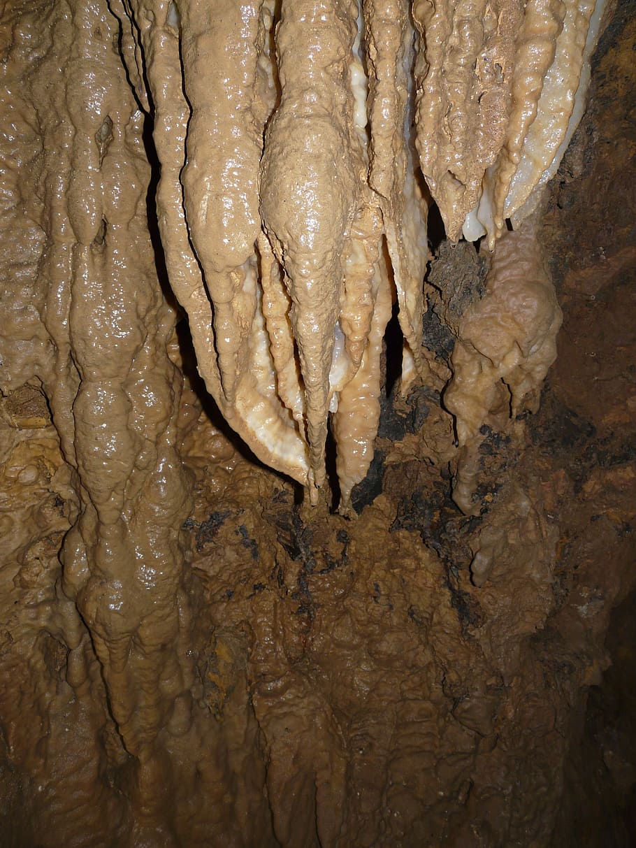 stalactite, la grotte, visite des grottes, aventure, dangereux, humide, nappe, rappel, eng, cavité, descente, sauvegarde, raide, Profond, spéléologie, spéléo, recherche, explorer, expérience, géologie, Roche, couches de roche, mur, pierre, plein cadre, personne, texturé, fermer, la nature, animal, tronc d'arbre, journée, tronc, arrière-plans, en plein air, marron, arbre, modèle, Nourriture et boisson, vertébré, bien-être, 2K