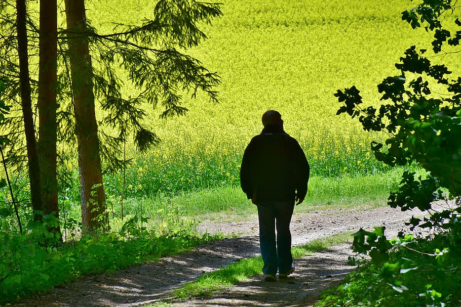 osoba, chůze, rostlin, senior, muž, řepky, pole, květ, sklizeň, zemědělství, louka, Příroda, Procházka, užívat si, jaro, nálada, žlutá, flóra, květiny, trávy, rostlina, zavřít, neúplný, krajina, dřevo, životní prostředí, schönwetter, denní světlo, stín, les, stromy, počasí, atmosféra, světlo, portrét, odchod do důchodu, strom, zpětný pohled, jedna osoba, růst, zelená barva, skutečných lidí, plná délka, krása v přírodě, stojící, životního stylu, přistát, volnočasové aktivity, den, muži, klid, pěšina, klidné scény, venku, 5K