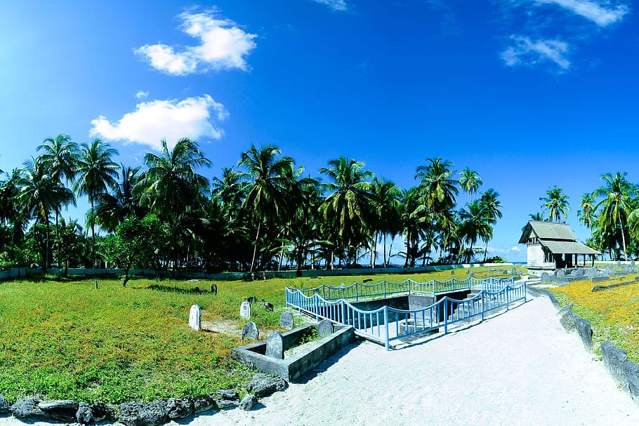 cel, núvols, roques, arbres, arbres de coco, cocos, herba, casa, ferro, illa, palmeres, acer, pedres, tropical, planta, arbre, Palmera, clima tropical, naturalesa, dia, blau, cap gent, núvol - cel, bellesa a la natura, llum solar, arquitectura, color verd, a l'aire lliure, piscina, aigua, butaca, parc, luxe, palmera de coco, 4K