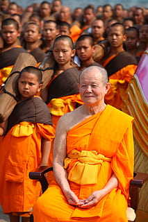 munke, buddhister, buddhisme, gå, orange, gevandter, thai, gammel, mand, ældre, visdom, tålmodighed, spise, phra dhammakaya, tempel, dhammakaya pagoda, mere end, million, buddhaer, guld, Thailand, moden voksen, herrer, midt voksen, modne mænd, stående, modne kvinder, gruppe af mennesker, rigtige mennesker, hanner, Kvinder, stor gruppe mennesker, voksen, barndom, samvær, menneskemængde, fest, hunner, portræt, smilende, drenge, orange farve, barn, livsstil, 5K, CC0, offentligt domæne, royaltyfrie