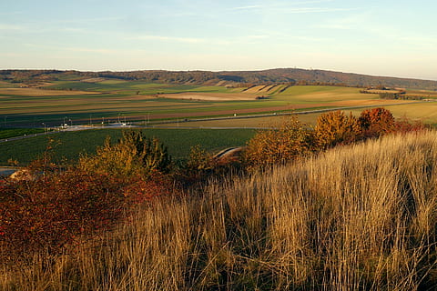 Rakousko, königswarte, pole, země, podzim, životní prostředí, krajina, klidné scény, rostlina, scenics - příroda, krása v přírodě, klid, nebe, přistát, růst, Příroda, mimoměstské scény, tráva, den, nikdo, venkovské scény, mrak - nebe, idylický, zemědělství, venku, 2K, CC0, veřejná doména, bez autorských práv