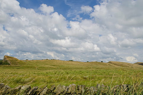paisaje, primavera, verano, Inglaterra, verde, agradable, árbol, naturaleza, estaciones, hierba, de colores, soleado, cielo, nublado, planta, nube - cielo, ambiente, paisajes - naturaleza, tierra, belleza en la naturaleza, escena tranquila, tranquilidad, campo, escena rural, agricultura, escena no urbana, día, nadie, crecimiento, planta de cereal, al aire libre, paisaje ondulado, 1080P, CC0, dominio público, libre de derechos