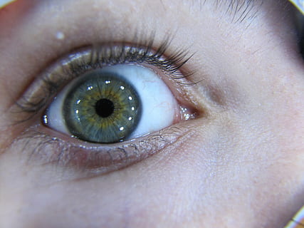 ull, macro, iris, alumne, vista, part del cos humà, percepció sensorial, ull humà, part del cos, pestanya, primer pla, una persona, iris - ull, globus ocular, mirant la càmera, retrat, persones reals, primer pla extrem, persona irreconeixible, ulls blaus, marc complet, reflexió, rostre humà, cella, parpella, 4K, CC0, domini públic, lliure de regalies