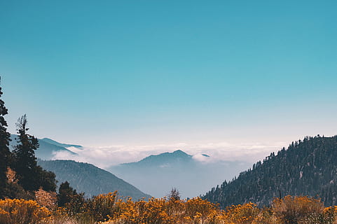 gunung yang menutupi awan, awan, siang hari, lingkungan Hidup, kabut, berkabut, hutan, rumput, pemandangan, gunung, alam, di luar rumah, indah, langit, pohon, scenics - alam, keindahan di alam, ketenangan, menanam, biru, adegan yang tenang, pegunungan, menyalin ruang, adegan non-urban, tanah, idilis, tidak ada orang, hari, pohon pinus, pohon jenis konifera, hutan pinus, puncak gunung, 4K, CC0, domain publik, bebas royalti