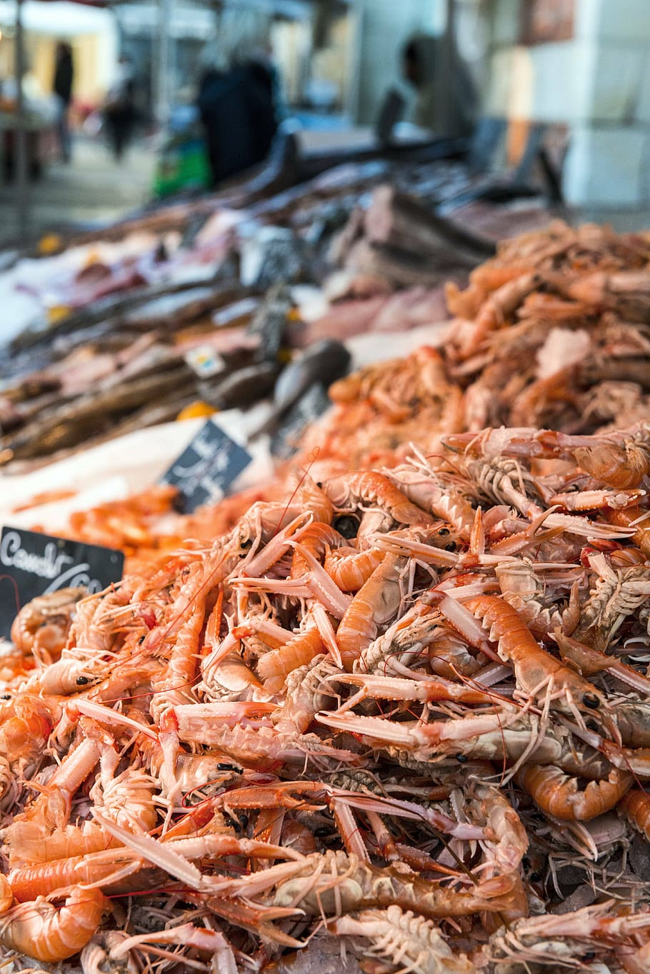llagostins, mar, oceà, peix, menjar, menjar i beguda, mercat, marisc, a la venda, frescor, venda al detall, centrar-se en primer pla, persones incidentals, Paradeta, aliments crus, dia, abundància, primer pla, gran grup d'objectes, mercat de peix, carn, alimentació saludable, negocis, visualització al detall, venda, a l'aire lliure, indústria pesquera, 5K