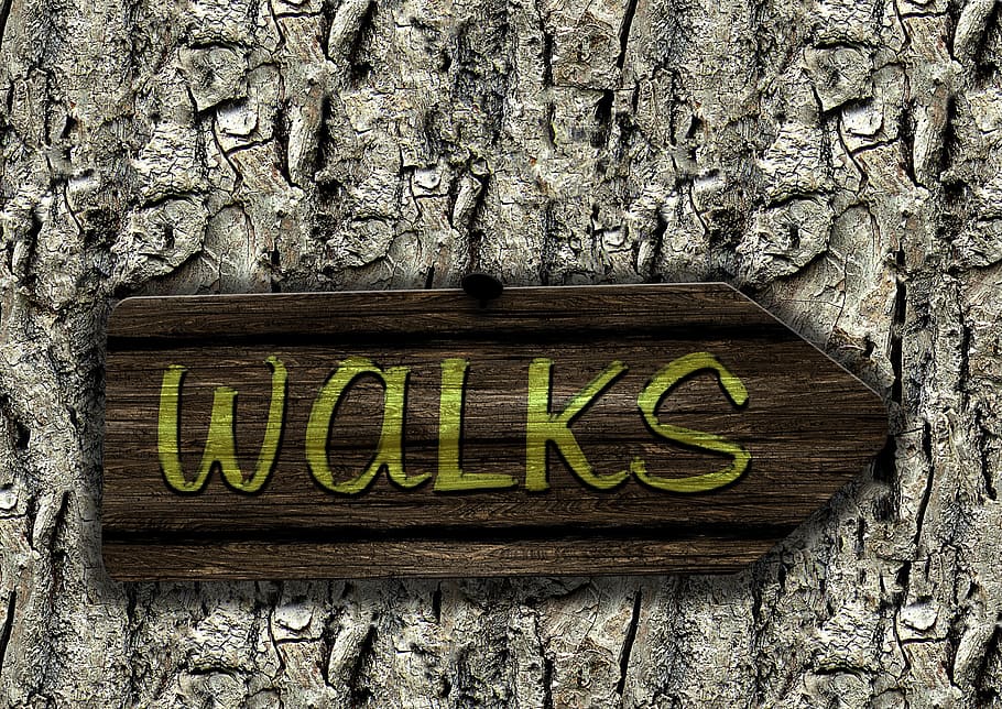 arbre, escorça, escut, pissarra, directori, ruta, Walken, anar, anar a passejar, naturalesa, senderisme, caminada, caminar, vorera, lluny, text, guió occidental, tronc de l'arbre, tronc, cap gent, dia, material de fusta, comunicació, textura, lletra majúscula, planta, funció de construcció de parets, a l'aire lliure, paret, primer pla, groc, estructura construïda, informació, 1080P