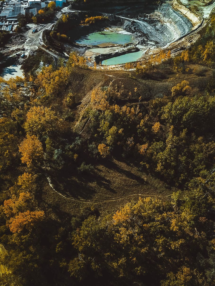autunno, 300ft, aereo, fotografia, lago, alberi, giorno, Esplorare, stagno, foresta, albero, fotografia drone, fuco, natura, acqua, cratere, paesaggio, mavic pro, dji, discarica, midwest, vista dall'alto, bellezza nella natura, pianta, crescita, la tranquillità, nessuno, scenics - natura, ambiente, scena tranquilla, all'aperto, architettura, idilliaco, luce del sole, colore verde, piantagione, 4K