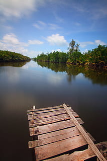 træ, anløbsbro, natur, himmel, skyer, Skov, idyllisk, fredsommelig, afspejling, flod, landskab, naturskøn, rolig, træer, vand, træ - materiale, sø, ro, skønhed i naturen, scenics - natur, rolig scene, ingen mennesker, dag, plante, sky - himmel, ikke-urbane scene, mole, udendørs, 4K, CC0, offentligt domæne, royaltyfrie
