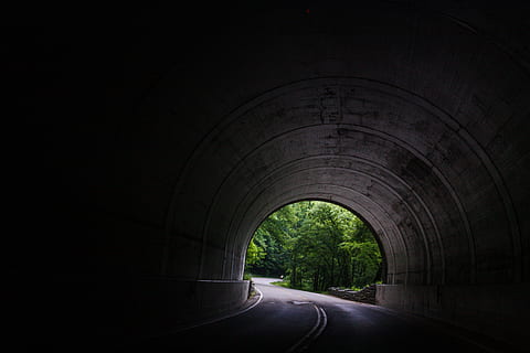 alberi, giorno, vuoto, grigio, calcestruzzo, tunnel stradale, tunnel, smokies, buio, strada, mezzi di trasporto, nessuno, in casa, architettura, direzione, arco, la strada davanti, pianta, albero, struttura costruita, natura, all'aperto, connessione, ponte, ponte - struttura fatta dall'uomo, la tranquillità, luce alla fine del tunnel, lungo, ponte ad arco, arcuato, 4K, CC0, dominio pubblico, privo di copyright