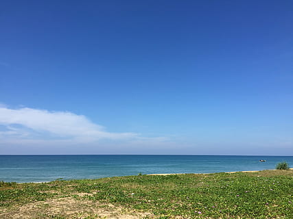 strandhimmel, hvid sky, skyfri himmel, hav, vand, himmel, horisont over vand, horisont, scenics - natur, skønhed i naturen, ro, strand, jord, rolig scene, blå, natur, ingen mennesker, dag, kopiere plads, sky - himmel, idyllisk, rejse, udendørs, marram græs, 2K, CC0, offentligt domæne, royaltyfrie