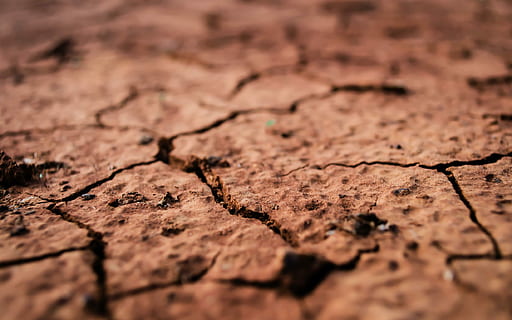 photo, brown, dried, soils, black, ground, cracked, drought, dry, dirt, nature, land, desert, arid Climate, backgrounds, textured, damaged, mud, pattern, close-up, environment, dirty, climate, barren, macro, abstract, full frame, no people, landscape, scenics - nature, surface level, outdoors, textured effect, tire, 1080P, CC0, public domain, royalty free