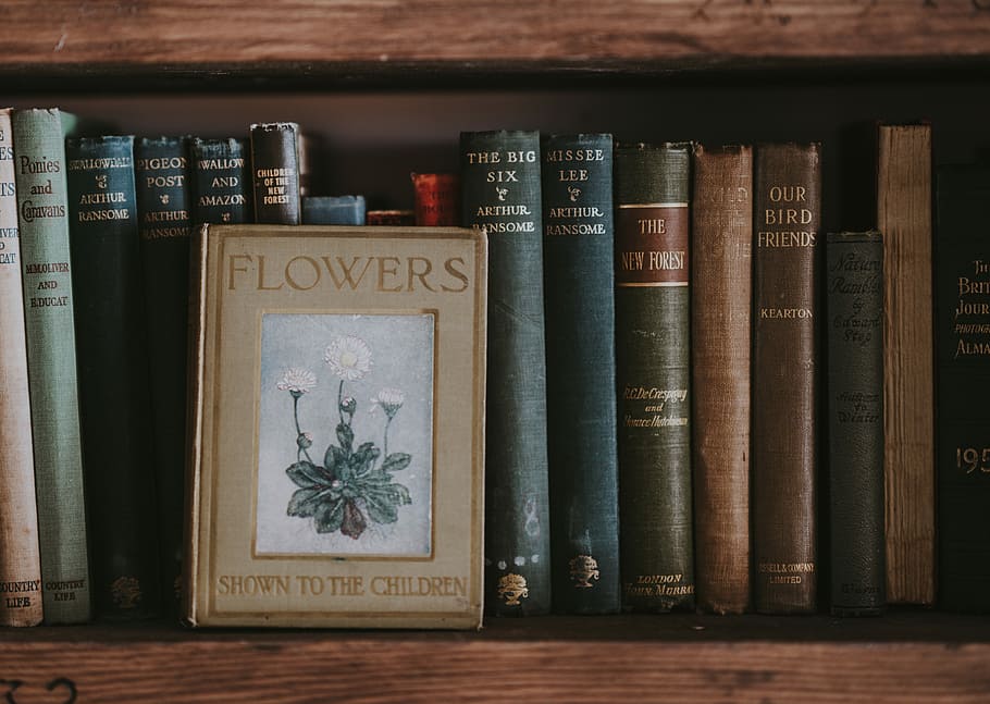 flors, es mostra, llibre infantil, prestatge, lot de llibres de títols assortits, prestatgeria, flor, llibre, tapa dura, vinculació, vintage, vell, paper, literatura, primer pla, clàssic, fosc, cuir, coberta, publicació, a l'interior, educació, text, prestatge per a llibres, cap gent, en fila, biblioteca, guió occidental, natura morta, aprenentatge, comunicació, taula, experiència, material de fusta, estudiar, llibre de tapa dura, 5K