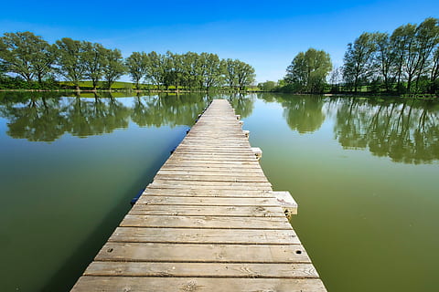 Brun, træ-, dok, omgivet, legeme, vand, træ, natur, farvande, afspejling, sø, Dam, landskab, flod, refleksioner, bank, humør, træ - materiale, vejen frem, ro, skønhed i naturen, retning, ingen mennesker, scenics - natur, dag, mole, himmel, rolig scene, plante, ikke-urbane scene, faldende perspektiv, udendørs, lang, træ post, 5K, CC0, offentligt domæne, royaltyfrie
