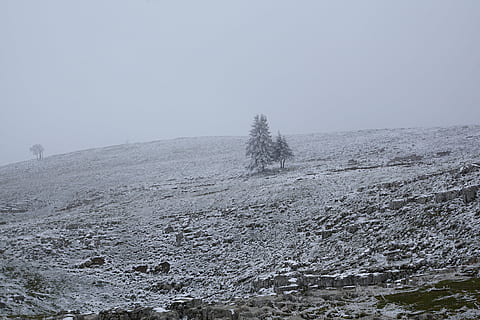 Nebel, Winter, Baum, Landschaft, Natur, Schnee, Feld, Weiß, Mist, Schönheit in der Natur, Szenen - Natur, Umgebung, kalte Temperatur, Himmel, Ruhe, ruhige Szene, Nicht-städtische Szene, Land, Berg, Tag, Pflanze, kopieren sie platz, draußen, keine Leute, schneebedeckter Berg, Klima, 5K, CC0, gemeinfrei, lizenzfrei