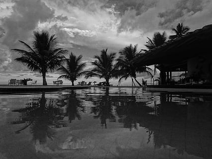 arbre de coco, festa, vocació, Resort, cocos, tropical, piscina, Palmera, arbre, reflexió, aigua, clima tropical, cel, planta, núvol - cel, naturalesa, cap gent, estructura construïda, arquitectura, davant del mar, bellesa a la natura, tranquil·litat, creixement, exterior de l'edifici, a l'aire lliure, 4K, CC0, domini públic, lliure de regalies