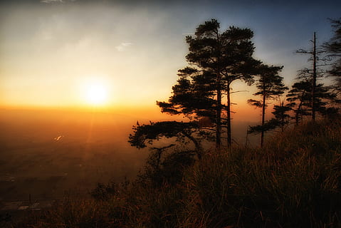 solnedgang, træ, landskab, skumring, fototur, sommer, vejret er dejligt, himmel, tåge, natur, sol, lys, silhuet solnedgang, Vorarlberg, fotohike, fotogang, østrig, plante, skønhed i naturen, ro, scenics - natur, rolig scene, vækst, silhuet, sollys, ingen mennesker, orange farve, ikke-urbane scene, idyllisk, sky - himmel, jord, udendørs, 1080P, CC0, offentligt domæne, royaltyfrie