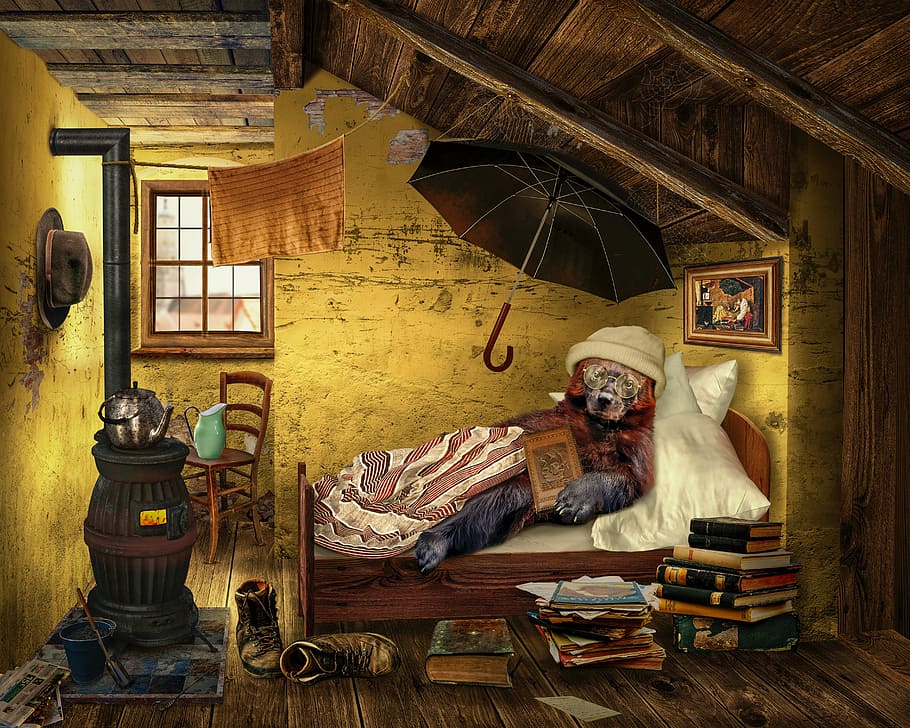 digital, fons de pantalla, suportar, estirat, llit, àtic, habitació, llegir, educació, saber, pobresa, llibres, en viu, idil·li, tribut a carl spitzweg, endins, collage, a l'interior, taula, interior de casa, mobles, habitació domèstica, roba, cap gent, material de fusta, arquitectura, sala d'estar, art i artesania, marc, finestra, mamífer, història, antiguitat, llum elèctrica, 5K