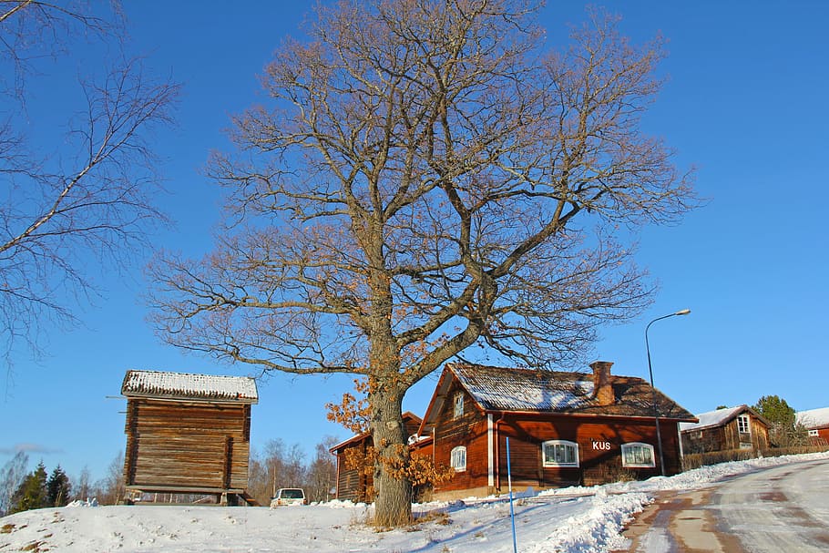 neu, hivern, fred, bonic, vermell, tradicional, fusta, casa de camp, suec, camp, casa, blanc, encantador, únic, arbre, dalarna, tallberg, suècia, europa, escandinavia, viatjar, turisme, blau, cel, vacances, escènic, naturalesa, festa, exterior de l'edifici, estructura construïda, arbre nu, escena rural, arquitectura, escena no urbana, abandonat, temperatura de fred, planta, edifici, cel clar, dia, cap gent, paisatge, branca, a l'aire lliure, 2K