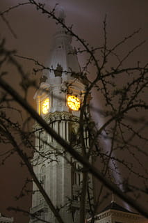 nebbia, architettura, costruzione, finestre, architettura, costruzione, albero, silhouette, notte, orologio, città, municipio di Filadelfia, esterno dell'edificio, scena urbana, Chiesa, architettura ed edifici, illuminato, lampione, crepuscolo, nessuno, struttura costruita, attrezzatura per l'illuminazione, Inquadratura dal basso, albero nudo, cielo, natura, strada, pianta, all'aperto, concentrarsi sulle conoscenze acquisite, luce, lampada elettrica, 4K, CC0, dominio pubblico, privo di copyright