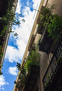 quartiere, balconi, nuvole, cielo, blu, diagonale, consultare, architettura, costruzione, dom, nuvola - cielo, Inquadratura dal basso, struttura costruita, esterno dell'edificio, pianta, natura, albero, giorno, città, nessuno, crescita, all'aperto, quartiere residenziale, foglia, alto - alto, parte vegetale, finestra, appartamento, 4K, CC0, dominio pubblico, privo di copyright
