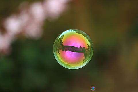 bombolla de sabó, pilota, flotar, aigua sabonosa, multicolor, esfera, centrar-se en primer pla, primer pla, reflexió, vulnerabilitat, cap gent, a l'aire, fragilitat, naturalesa, bombolla, dia, forma, transparent, color verd, a l'aire lliure, sabó sud, bellesa a la natura, planta, forma geomètrica, porpra, 5K, CC0, domini públic, lliure de regalies