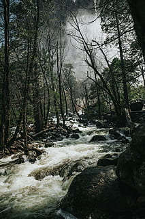 Wasserwellen, Steine, Mitte, Bäume, Grün, Fluss, stürmisch, Himmel, Wald, Baum, Weiß, grau, fließen, Rock, norcal, californium, Fernweh, Abenteuer, Tierwelt, wild, Brautschleier fällt, Yosemite Falls, Yosemite, Pflanze, Wasser, Schönheit in der Natur, fließendes Wasser, Land, Szenen - Natur, Natur, keine Leute, fließend, Bewegung, solide, Rock - Objekt, Tag, Ruhe, Nicht-städtische Szene, draußen, 5K, CC0, gemeinfrei, lizenzfrei