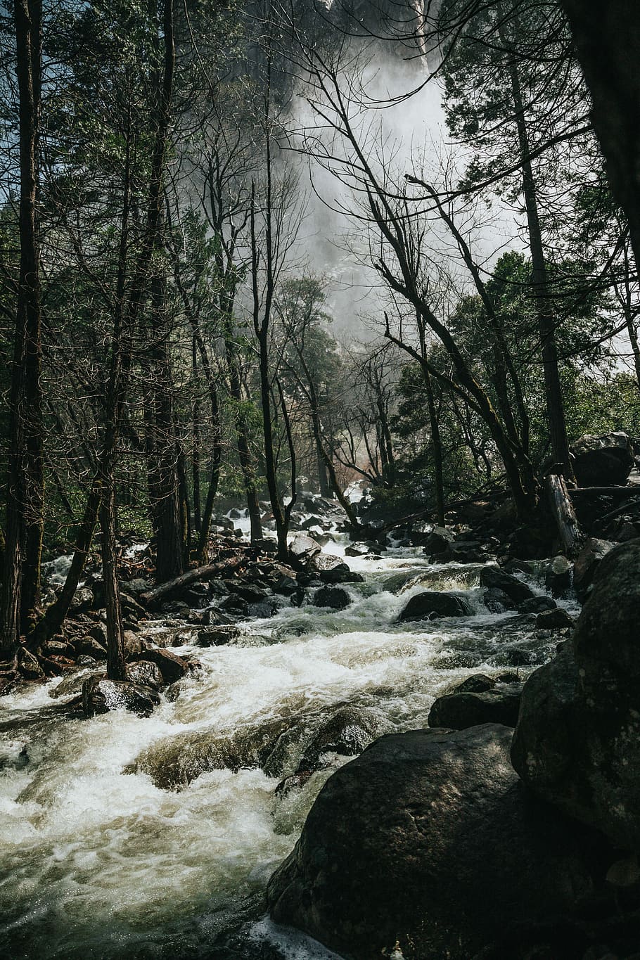 ones d’aigua, pedres, mig, arbres, verd, riu, tempestuós, cel, bosc, arbre, blanc, gris, flux, rock, norcal, californium, wanderlust, aventura, vida salvatge, salvatge, cau el vel de núvia, Yosemite cau, yosemite, planta, aigua, bellesa a la natura, aigua que flueix, terra, escenics - natura, naturalesa, cap gent, que flueix, moviment, sòlid, rock - object, dia, tranquil·litat, escena no urbana, a l'aire lliure, rierol: aigua que flueix, 5K