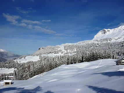 vinter, sne, vinterlige, kold, landskab, snedækket, vinterforkølelse, Schweiz, Graubünden, Parpan, natur, kold temperatur, himmel, scenics - natur, skønhed i naturen, sky - himmel, bjerg, rolig scene, hvid farve, snedækket bjerg, ro, træ, dag, ingen mennesker, dækker, plante, ikke-urbane scene, bjergkæde, bjergtop, 2K, CC0, offentligt domæne, royaltyfrie
