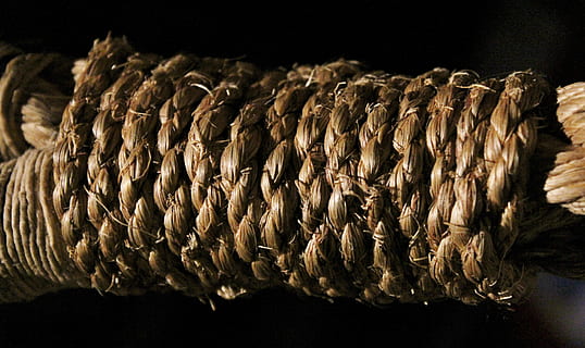 rope, knot, bind, food and drink, food, freshness, no people, black background, indoors, studio shot, close-up, animal, abundance, wellbeing, healthy eating, seafood, still life, large group of objects, dried food, dry, focus on foreground, in a row, nature, snack, temptation, 5K, CC0, public domain, royalty free