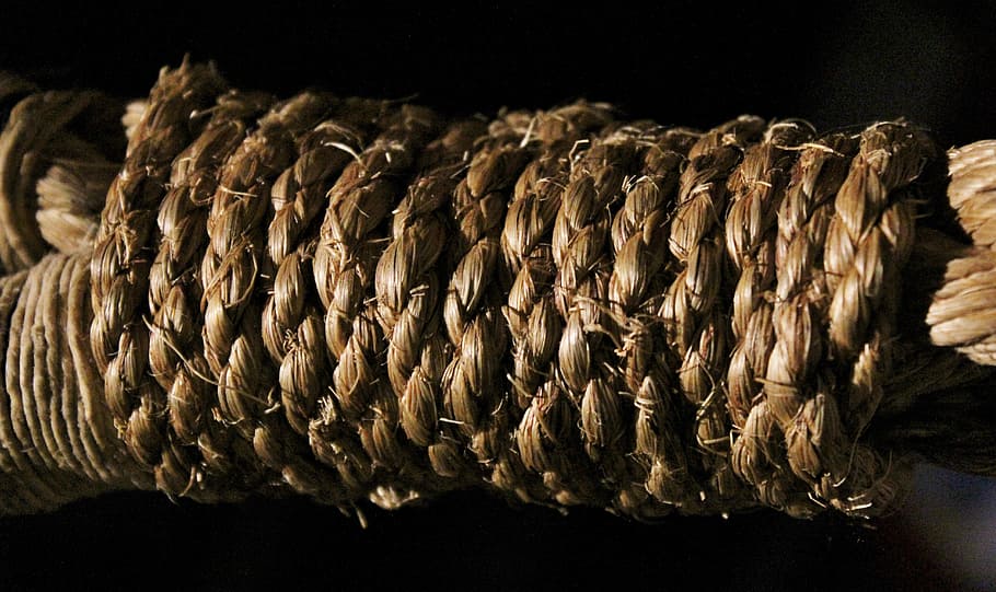 corda, nus, vincular, menjar i beguda, menjar, frescor, cap gent, fons negre, a l'interior, tir de l'estudi, primer pla, animal, abundància, benestar, alimentació saludable, marisc, natura morta, gran grup d'objectes, aliments secs, sec, centrar-se en primer pla, en fila, naturalesa, berenar, temptació, 5K