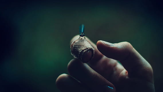 negre, perca d’insectes, humà, dit índex, midge, mà, guix, error, mà humana, primer pla, celebració, gent, part del cos humà, una persona, adult, temes d'animals, dit, dit humà, part del cos, a l'interior, un animal, centrar-se en primer pla, fauna animal, invertebrat, persona irreconeixible, perspectiva personal, 4K, CC0, domini públic, lliure de regalies