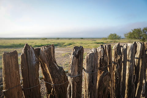 hnědý, dřevěný, plot, zelená, listoval, stromy, fotografie, zblízka střílel, pole, strom, Příroda, venkovské scény, dřevo - materiál, nikdo, venku, krajina, nebe, scén, tráva, den, hranice, přistát, klid, bariéra, scenics - příroda, klidné scény, životní prostředí, rostlina, ochrana, mimoměstské scény, odlesňování, dřevo, pošta, dřevěný sloupek, 720P, CC0, veřejná doména, bez autorských práv