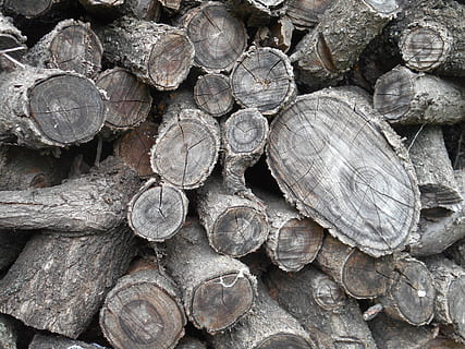 Baum, protokolliert, Textur, Hintergrund, Log, Bauholz, Brennholz, Holz, Vollbild, Stapel, Holzindustrie, Holz - Material, große gruppe von gegenständen, Hintergründe, Fülle, Abholzung, Wald, Holzstapel, Haufen, Nahansicht, Kraftstoff- und Stromerzeugung, keine Leute, Natur, draußen, 5K, CC0, gemeinfrei, lizenzfrei